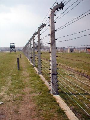 7_Birkenau